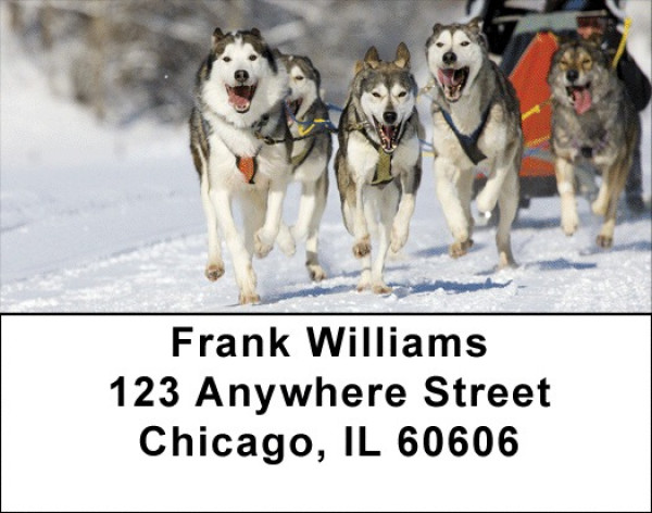 Sled Dogs Address Labels