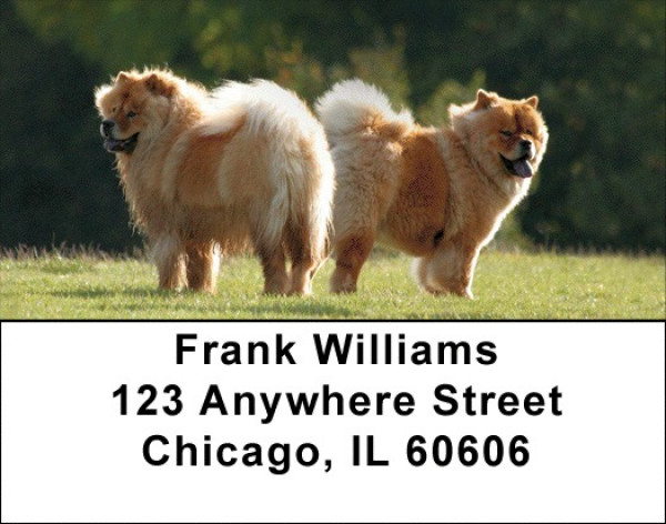 Chow Chow Address Labels