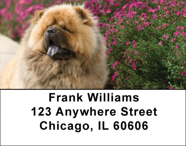 Chow Chow Address Labels
