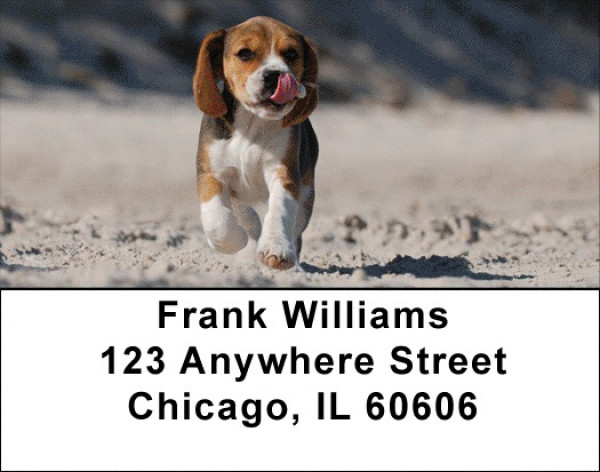 Brilliant Beagles Address Labels