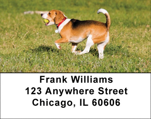 Brilliant Beagles Address Labels