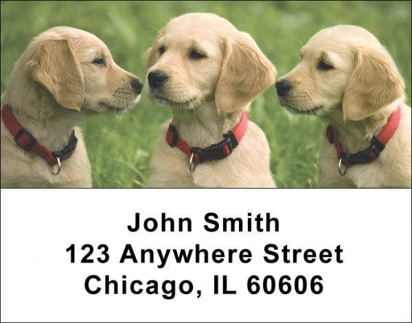 Cute Puppies Address Labels | LBDOG-88