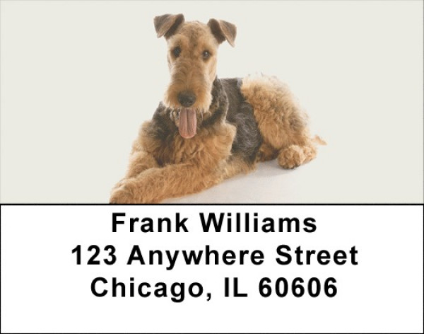 Airedale Terrier Address Labels