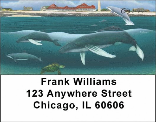 Whales And Lighthouse Address Labels By David Dunleavy