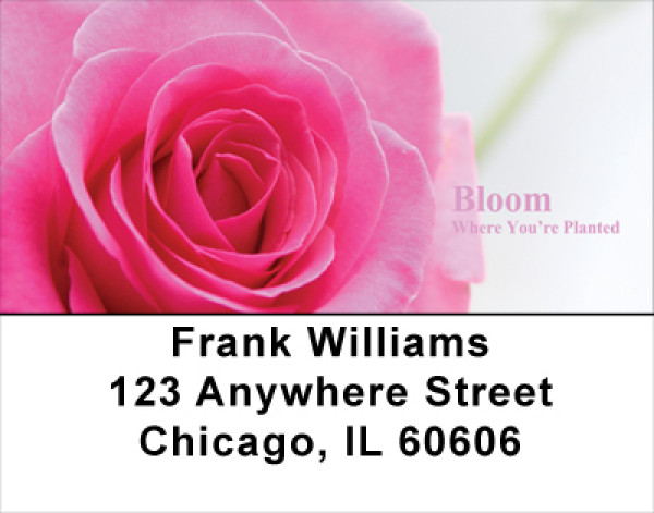 Bloom Where Youre Planted Address Labels