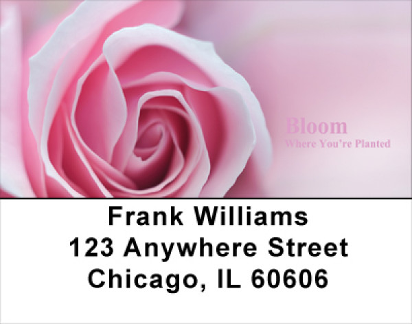 Bloom Where You're Planted Address Labels