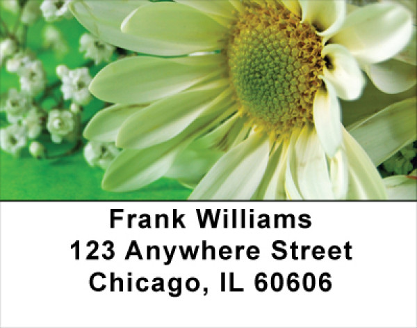 Daisies On Green Address Labels
