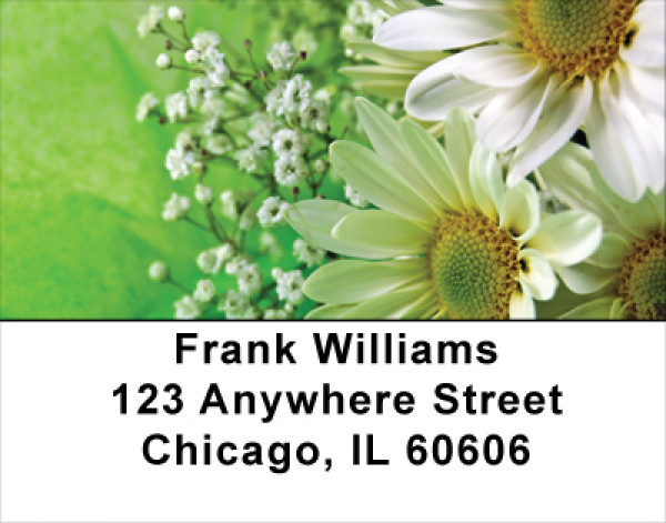 Daisies On Green Address Labels