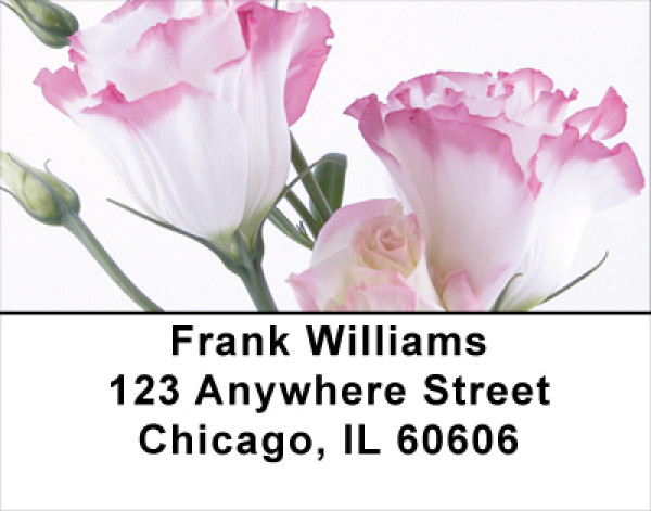 Everyday Is A Spring Day Address Labels | LBFLO-17