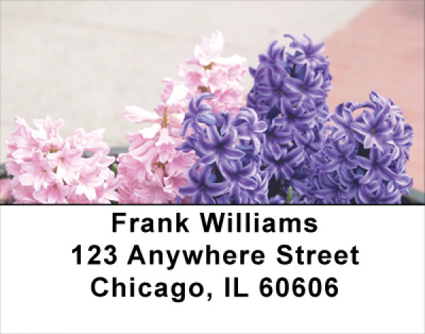 Everyday Is A Spring Day Address Labels