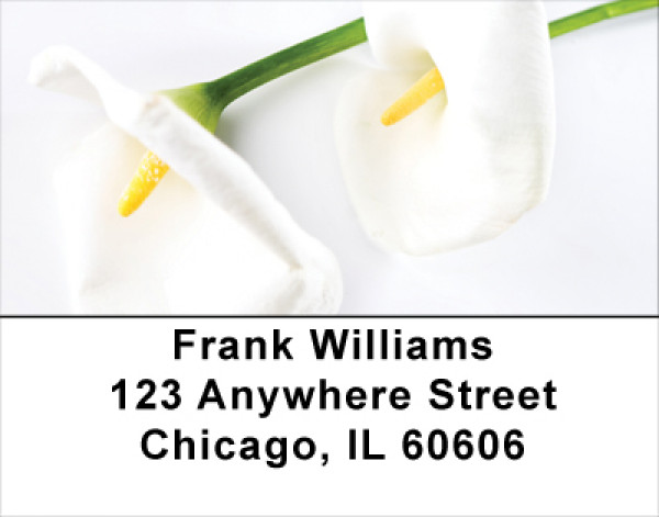 Calla Lilies Address Labels | LBFLO-23
