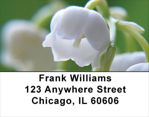 Lilly Of The Valley Address Labels