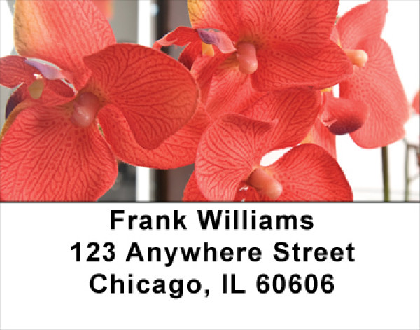 Tropical Orchids Address Labels