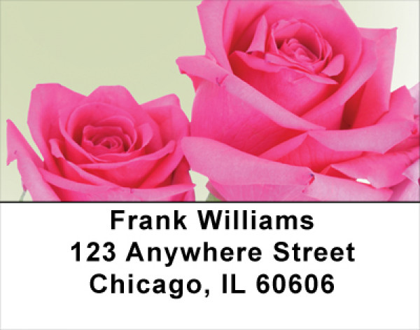 Pink Roses Address Labels
