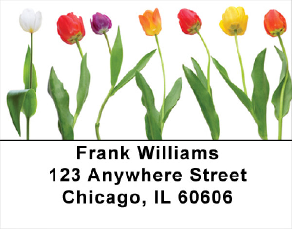 Spring Line Up Address Labels | LBFLO-52