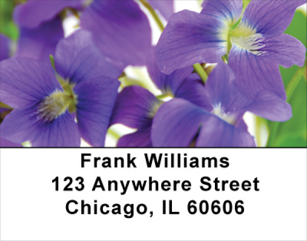 Violets Address Labels