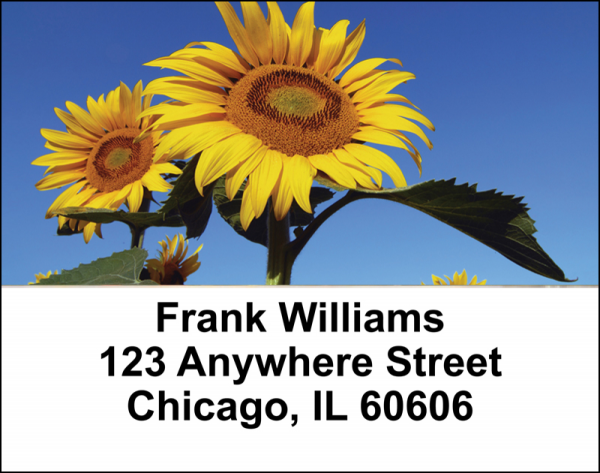 Joyous Sunflowers Address Labels | LBFLO-77