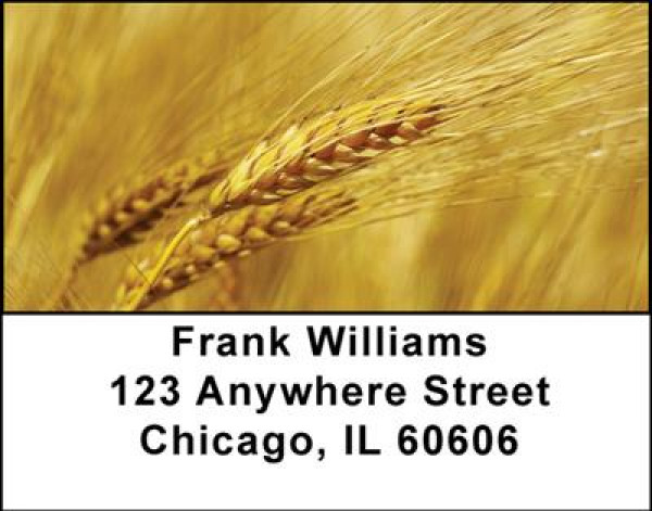 The Grain Harvest Address Labels | LBFOD-06