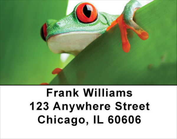 Its A Froggy Frog World Address Labels