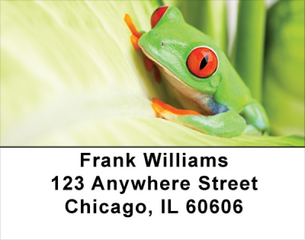 It's A Froggy Frog World Address Labels