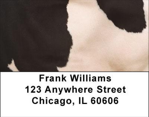 Holy Cow Address Labels