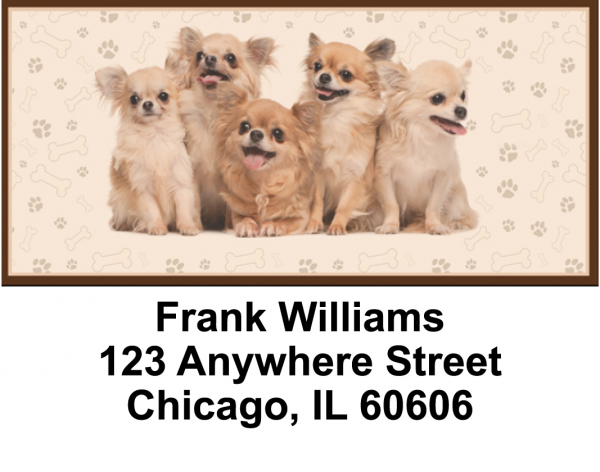 Charming Chihuahuas Address Labels | LBJUR-02