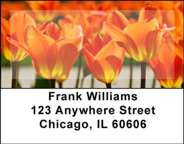 Tulips Address Labels