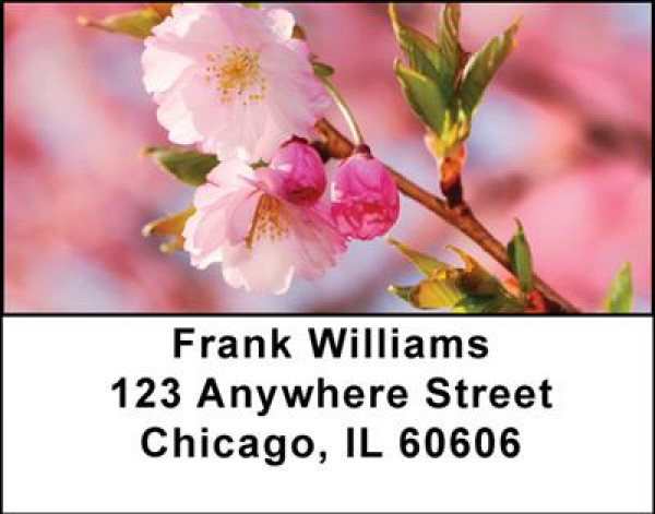 Cherry  Blossoms Address Labels | LBNAT-19