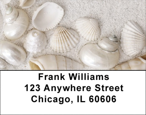 Pearly White Sea Shells Labels | LBNAT-75
