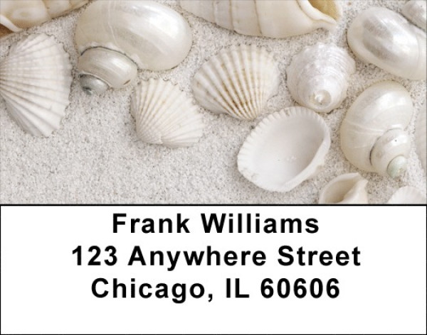 Pearly White Sea Shells Labels