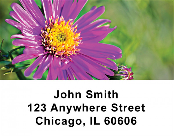 Flowers Address Labels
