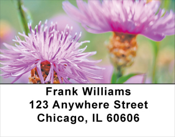 Wildflowers In Bloom Address Labels