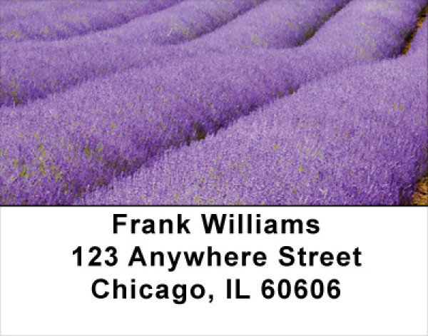 Fields Of Lavender Address Labels