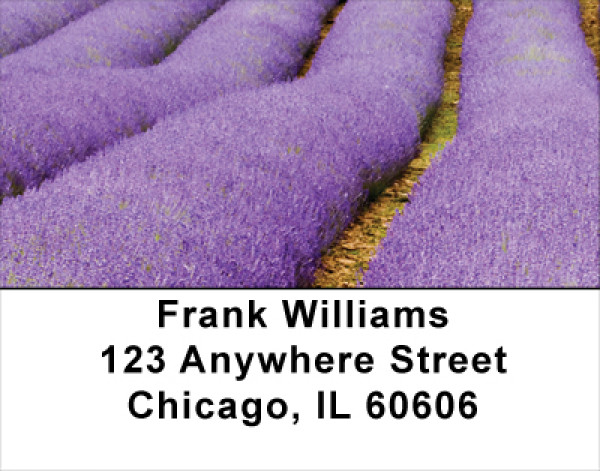 Fields Of Lavender Address Labels