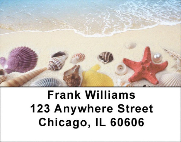 Seashells On The Beach Labels | LBSCE-95