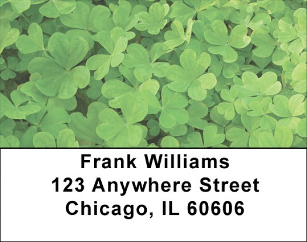 More Clovers Address Labels