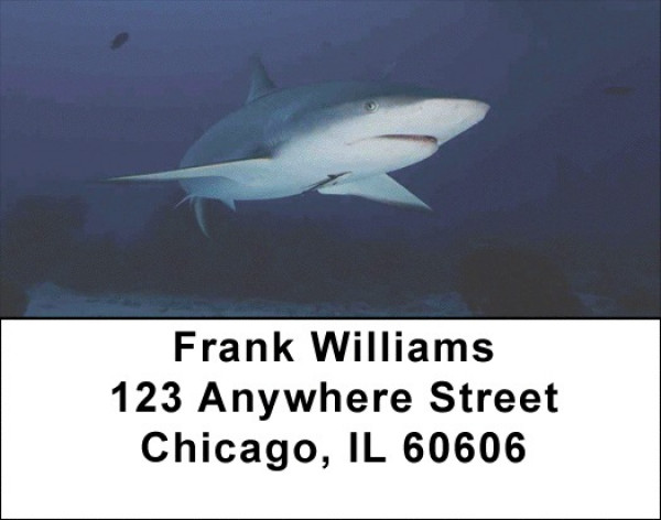Sharks by Aggressor Fleet Address Labels