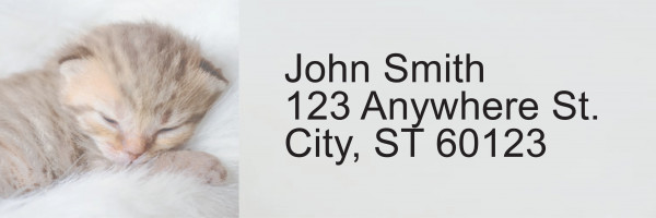Sleepy Kittens Address Labels