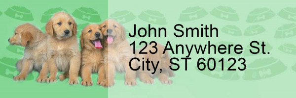 Golden Retriever Pups Keith Kimberlin Address Labels