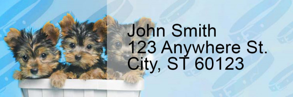 Yorkie Pups Keith Kimberlin Address Labels | LRRKKM-16