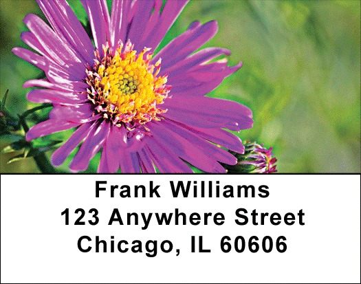 Flowers Address Labels