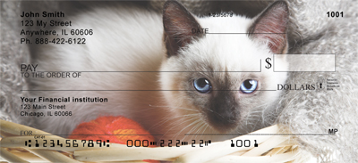 Maine Coon Cats Personal Checks
