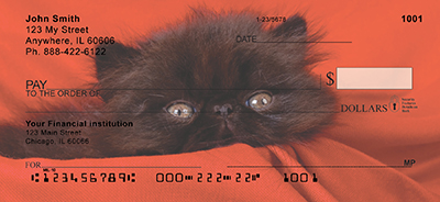 Persian Kittens Personal Checks