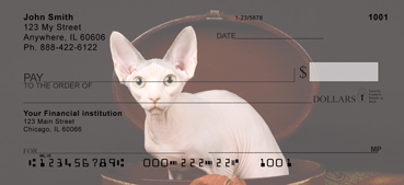 Hairless Sphynx Kittens Personal Checks