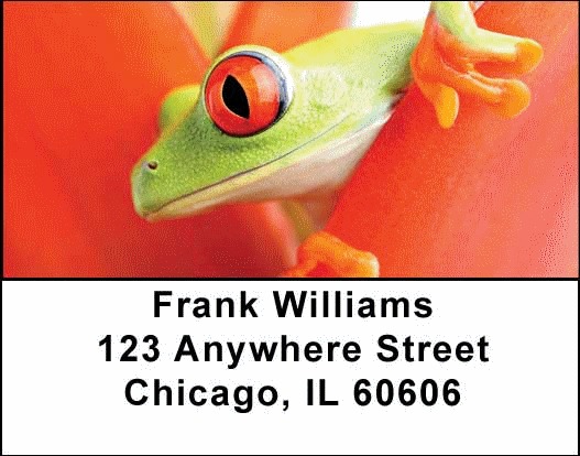 Frogs Address Labels