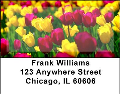 Tulips Address Labels