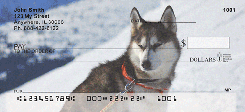 Siberian Husky Sled Dogs Checks