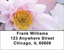 Lotus Rainbow Address Labels