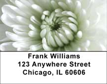 Lacy Mums Address Labels