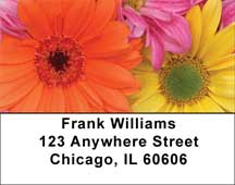 Rainbow Garden Address Labels